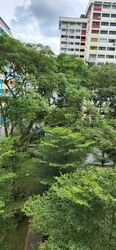 Blk 234 Serangoon Avenue 3 (Serangoon), HDB 4 Rooms #545095761